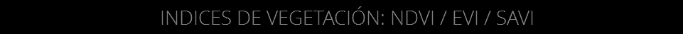 INDICES DE VEGETACIÓN: NDVI / EVI / SAVI