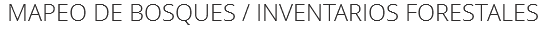 MAPEO DE BOSQUES / INVENTARIOS FORESTALES